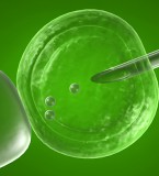 Bioengineering