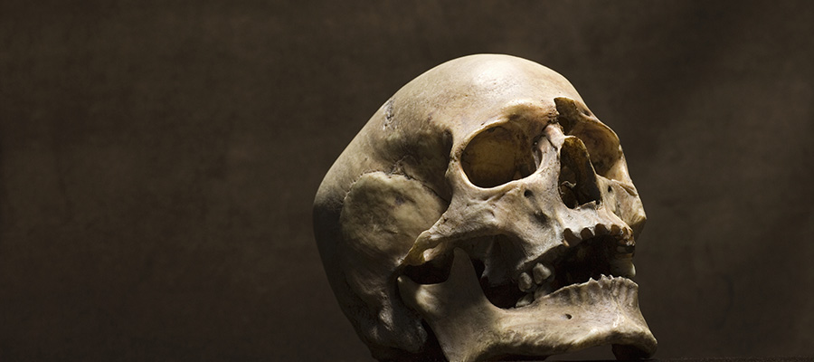 Human skull, studio shot