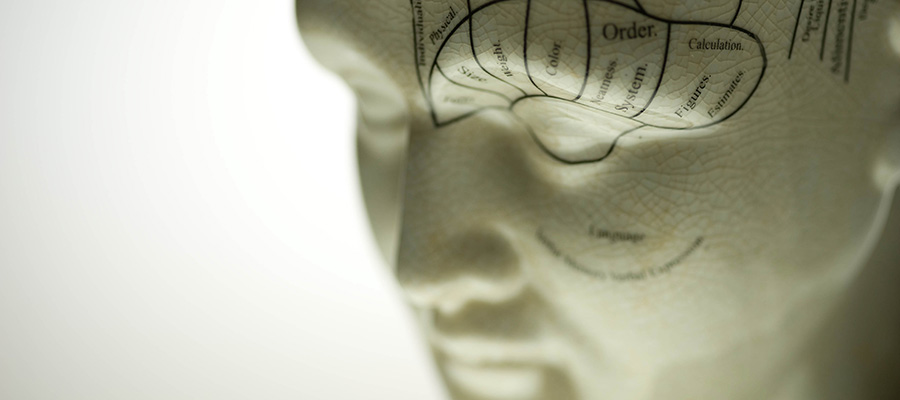 Phrenology Sculpture